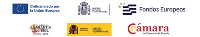 logos programa talento joven